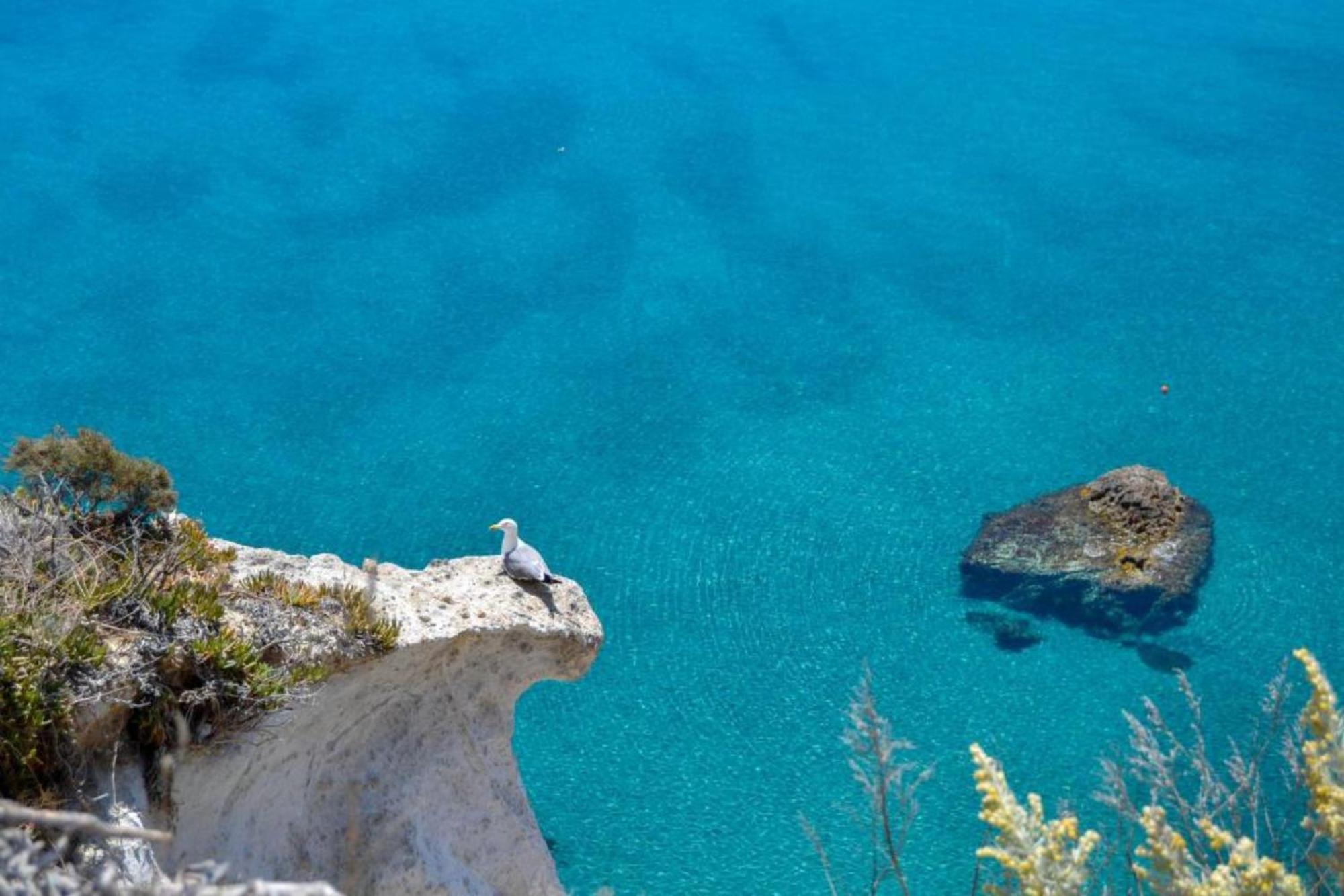 Maridea - Cave Apartments Ponza Exterior foto